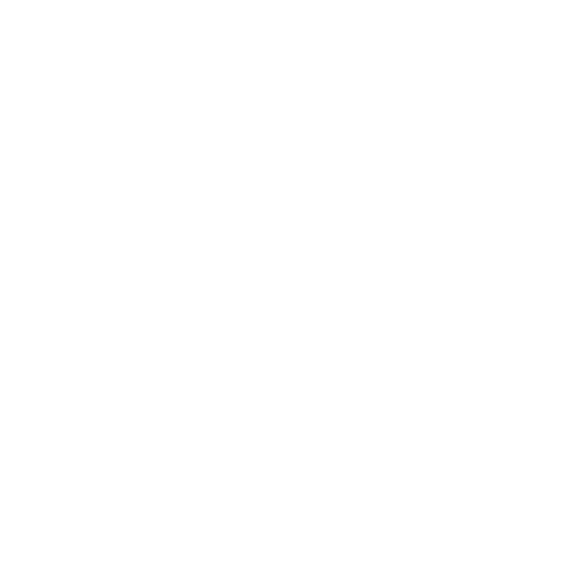 LIMPA ZAPATOS