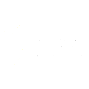 PUNTO PACK IMPOST